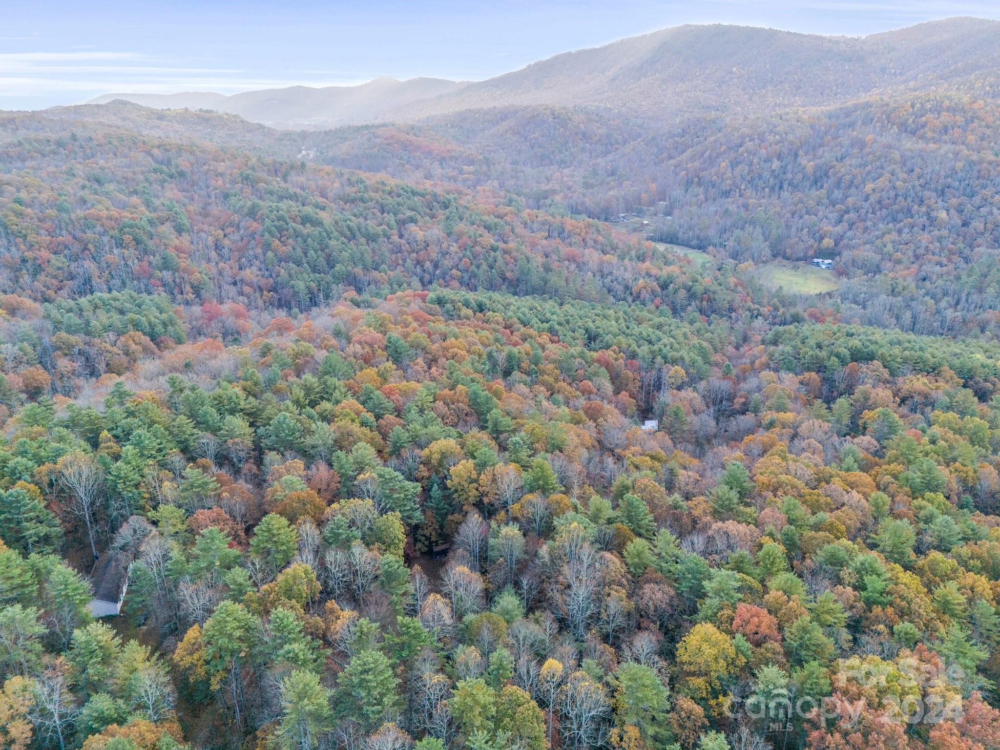 52 The Old Buggy Road