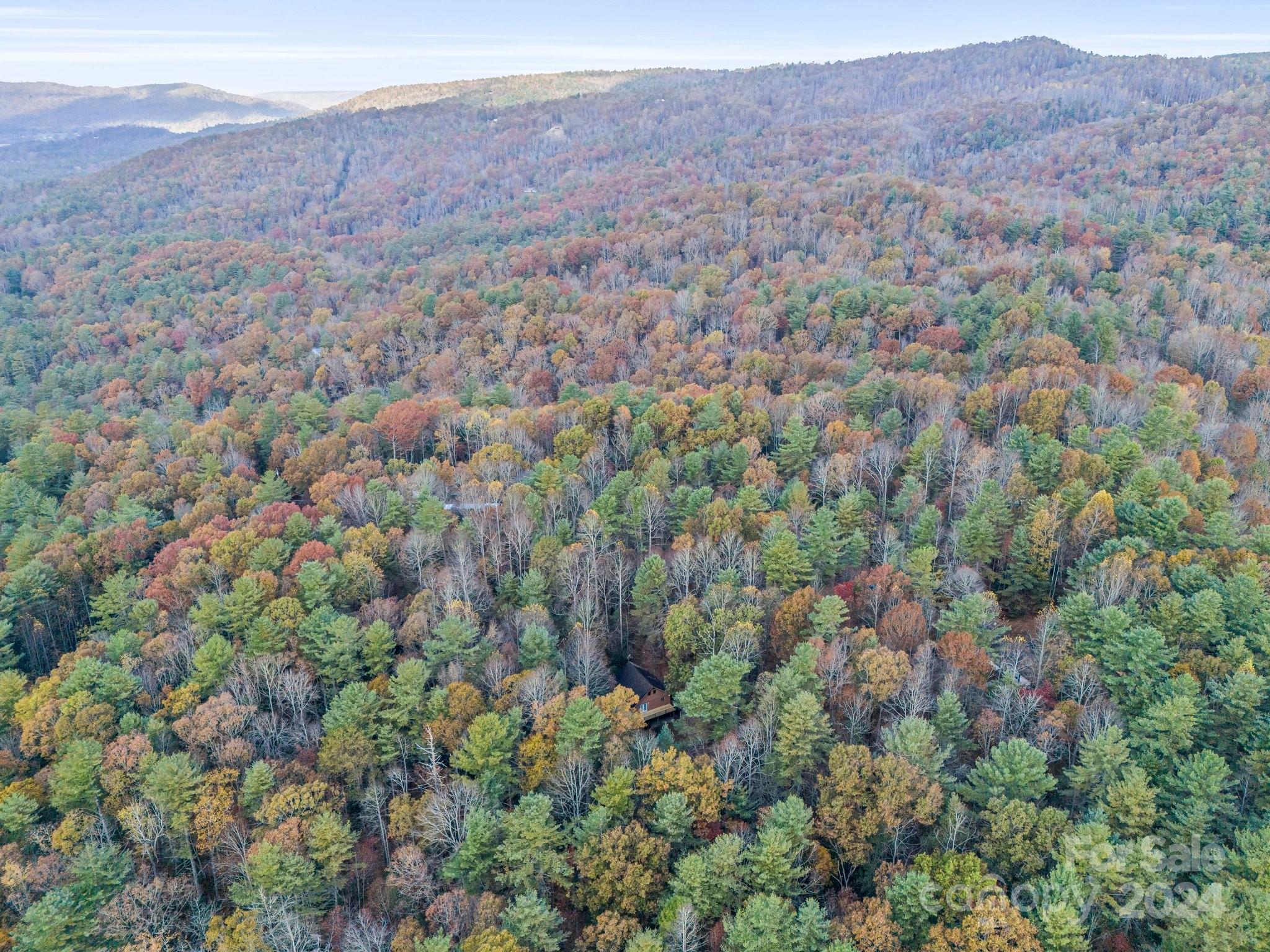 52 The Old Buggy Road