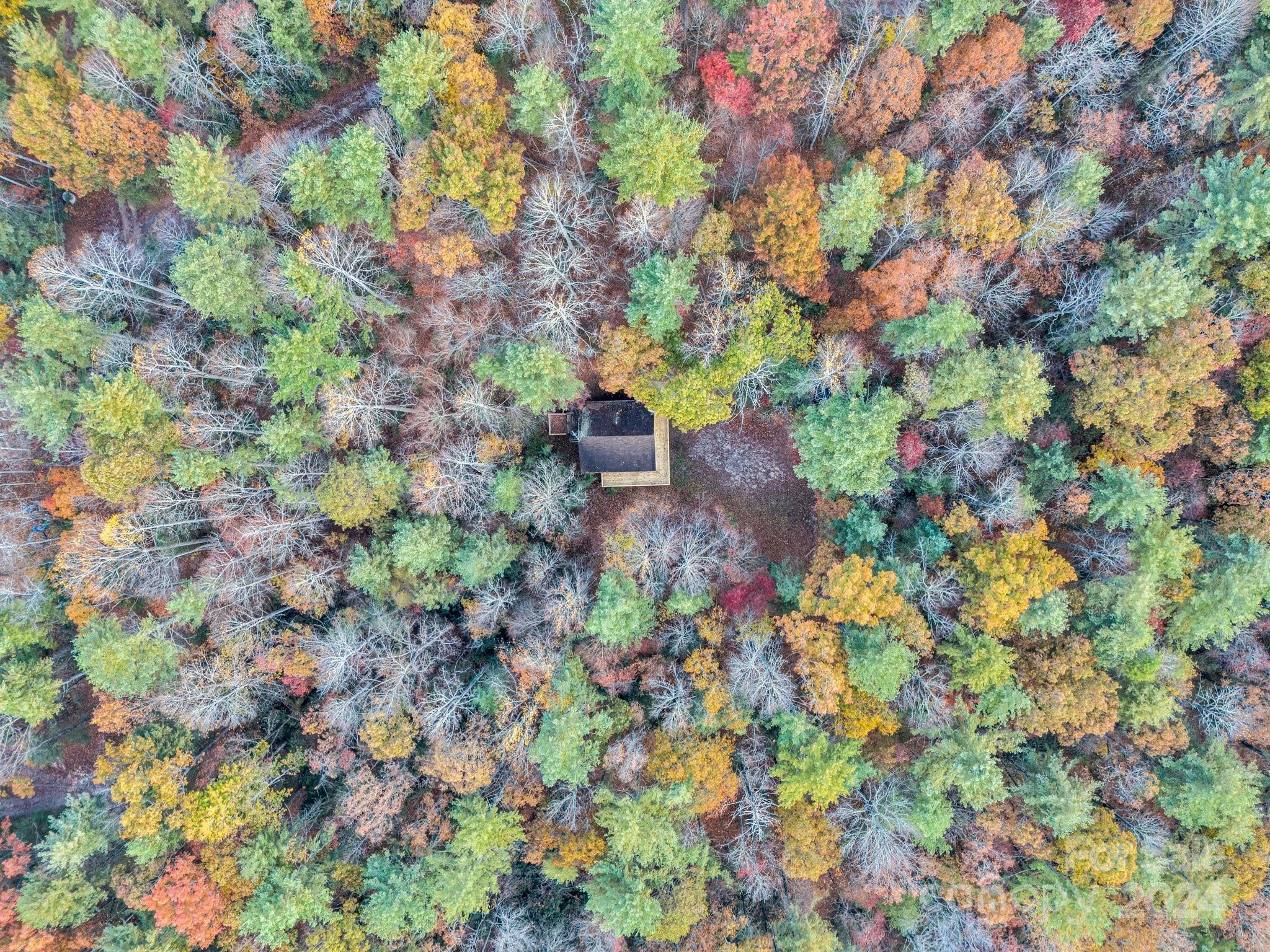 52 The Old Buggy Road