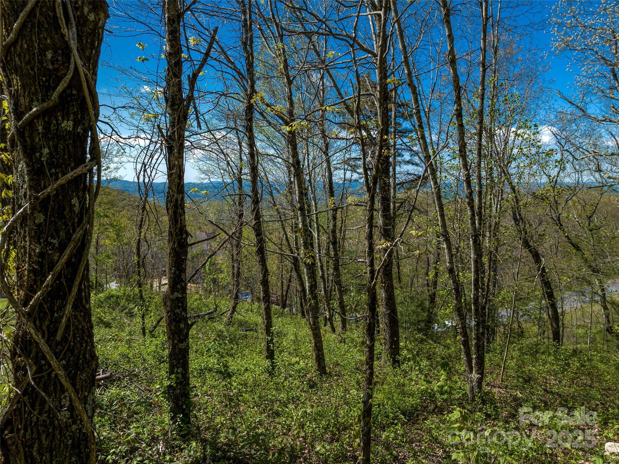 416 Summerset Drive Unit: 83