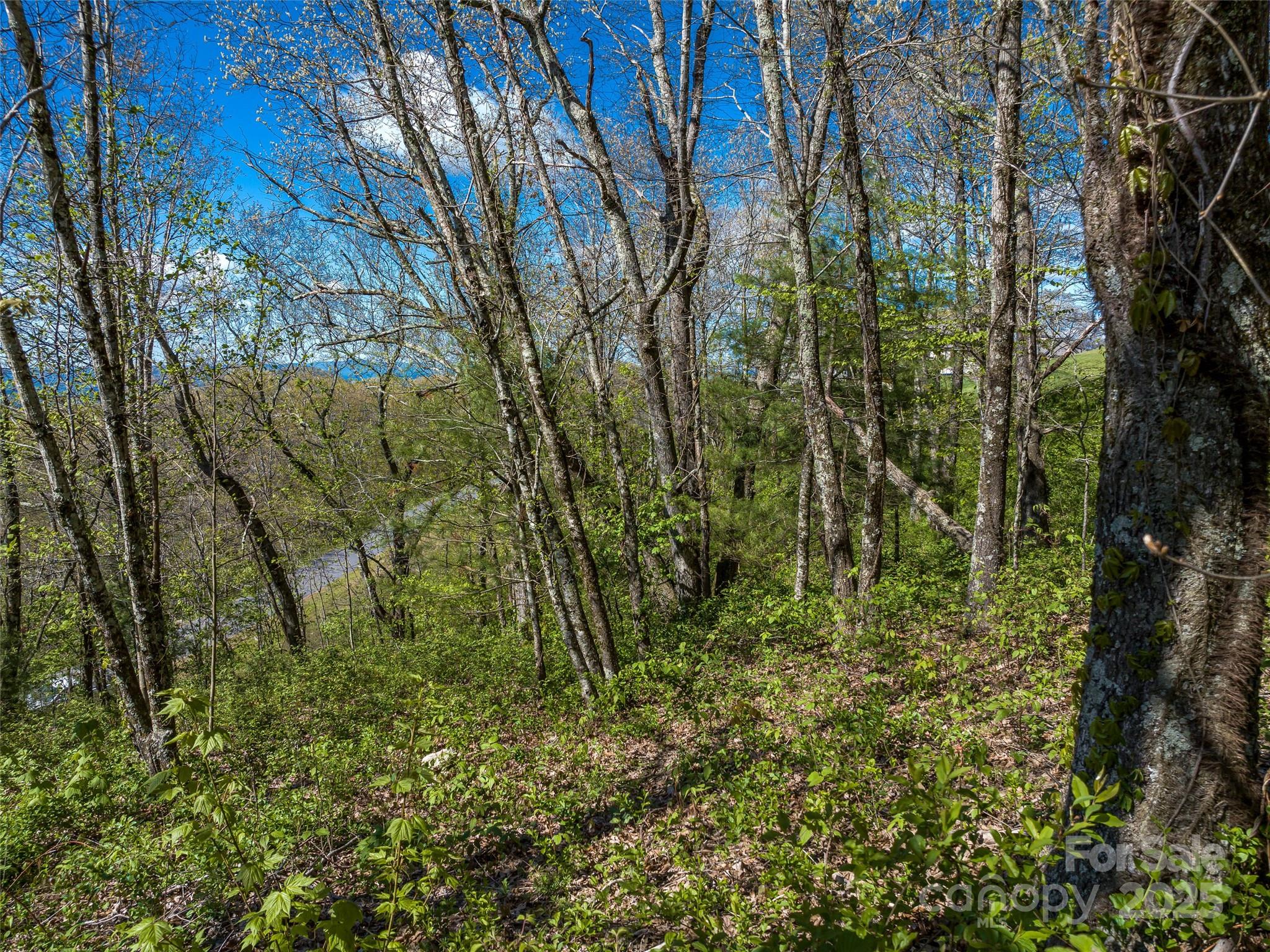 416 Summerset Drive Unit: 83