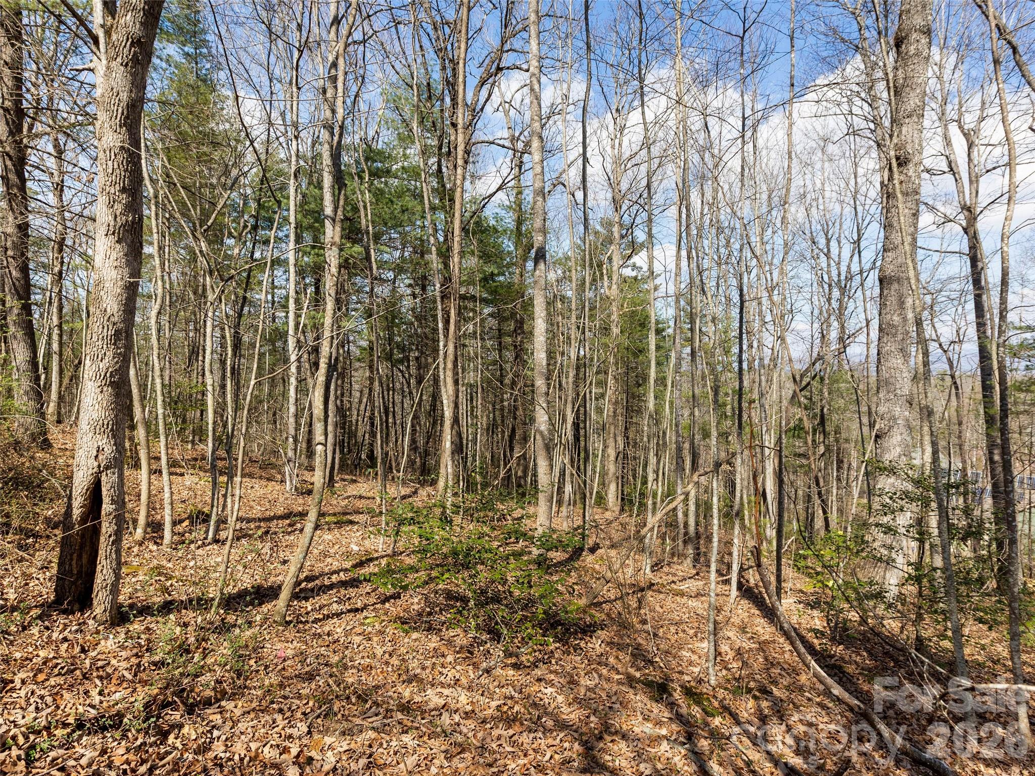 96 Turkey Roost Court