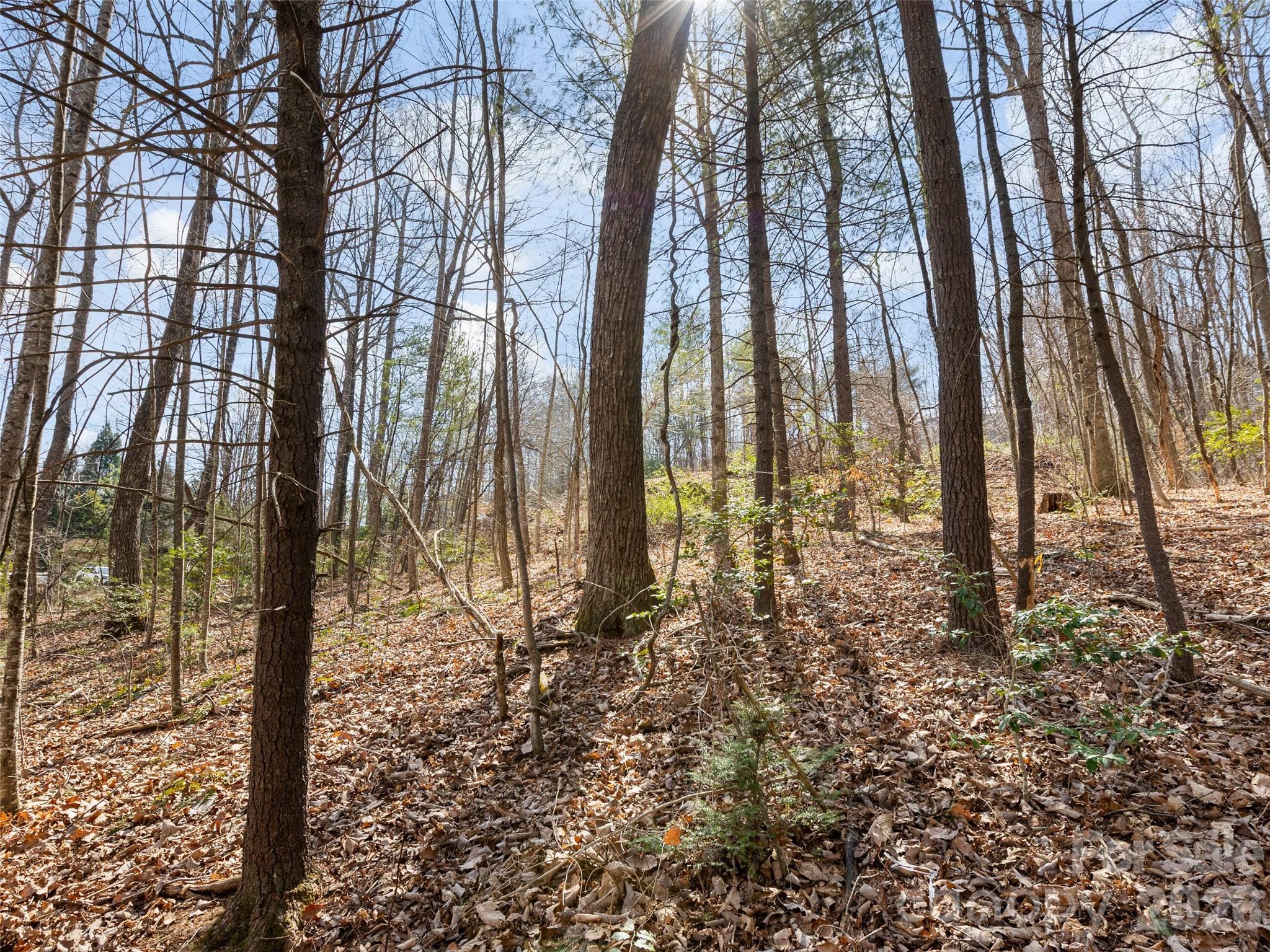 96 Turkey Roost Court