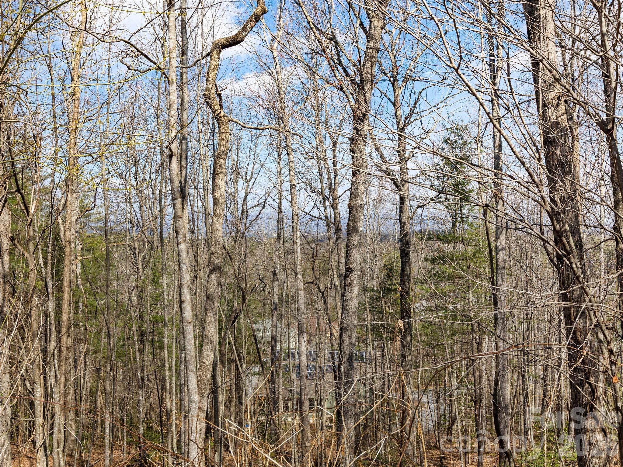 96 Turkey Roost Court