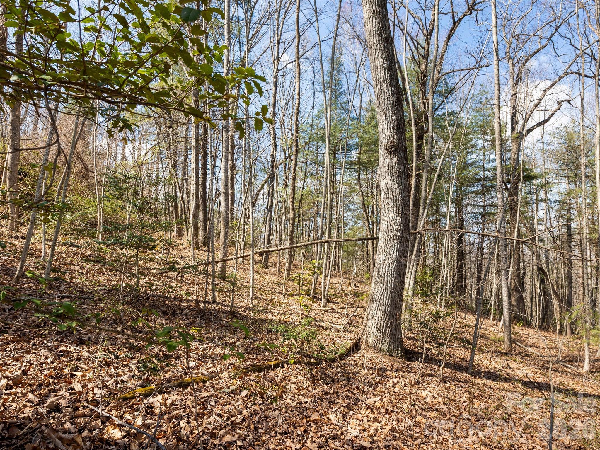 96 Turkey Roost Court