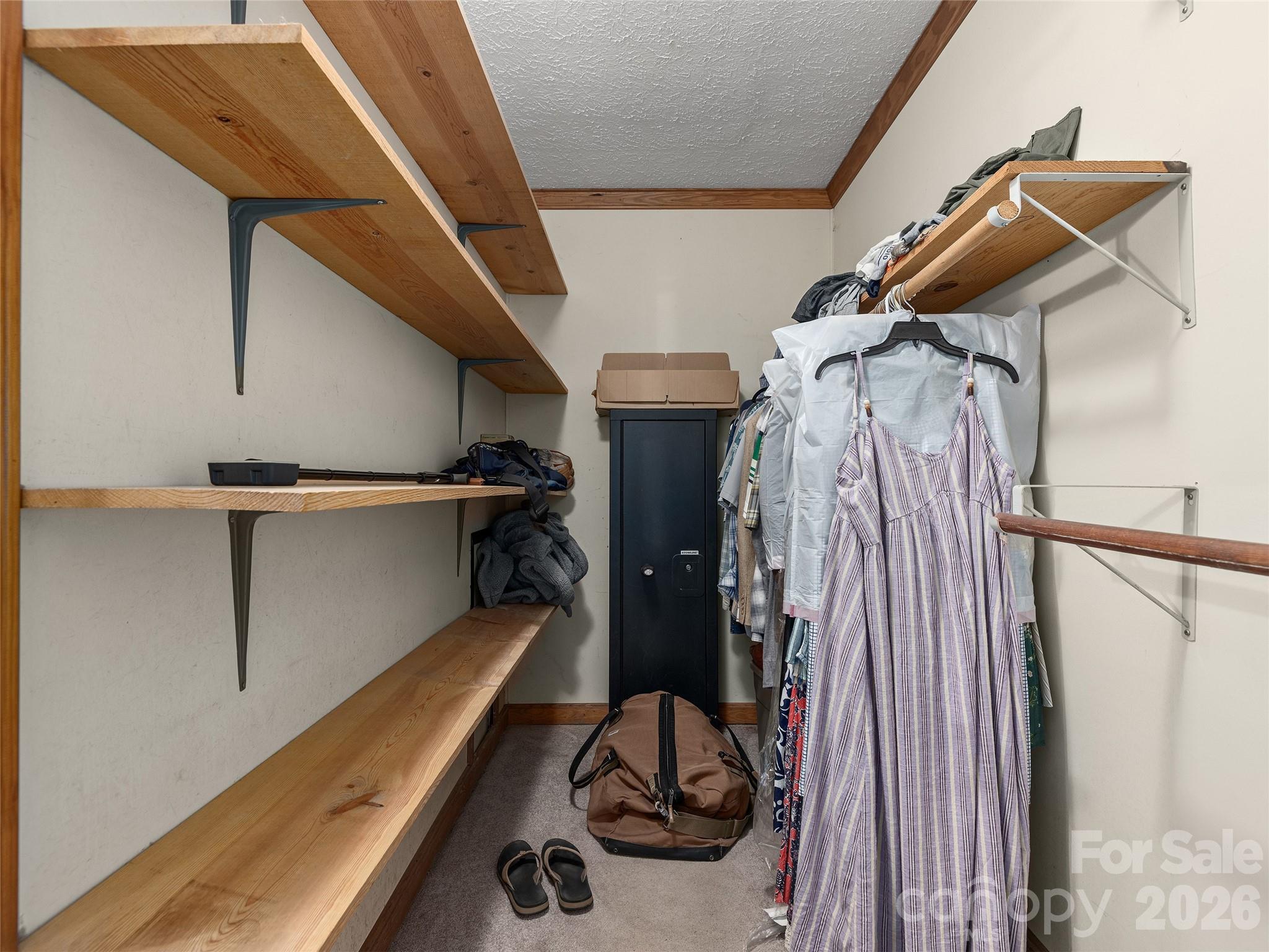 3 Carolewood Drive