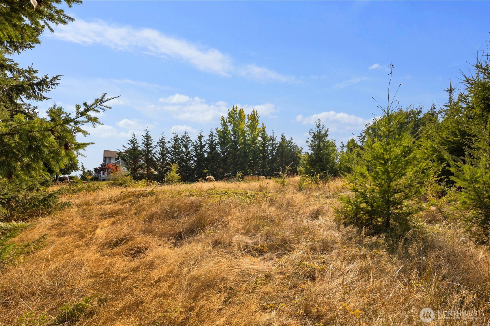 4812 131st Avenue Ct E