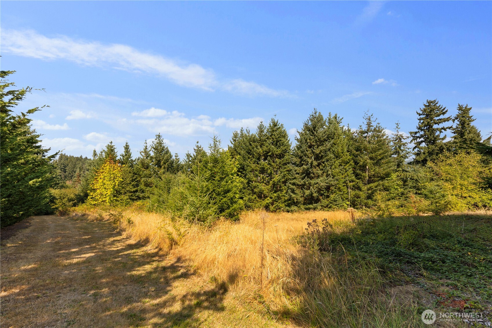 4812 131st Avenue Ct E