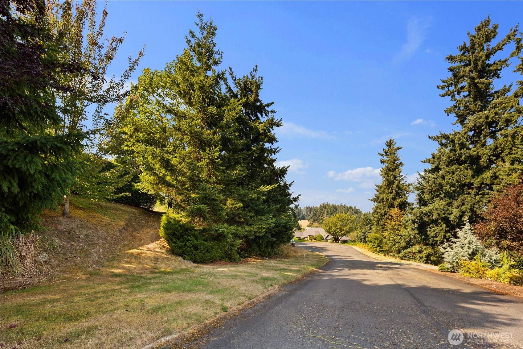 4812 131st Avenue Ct E