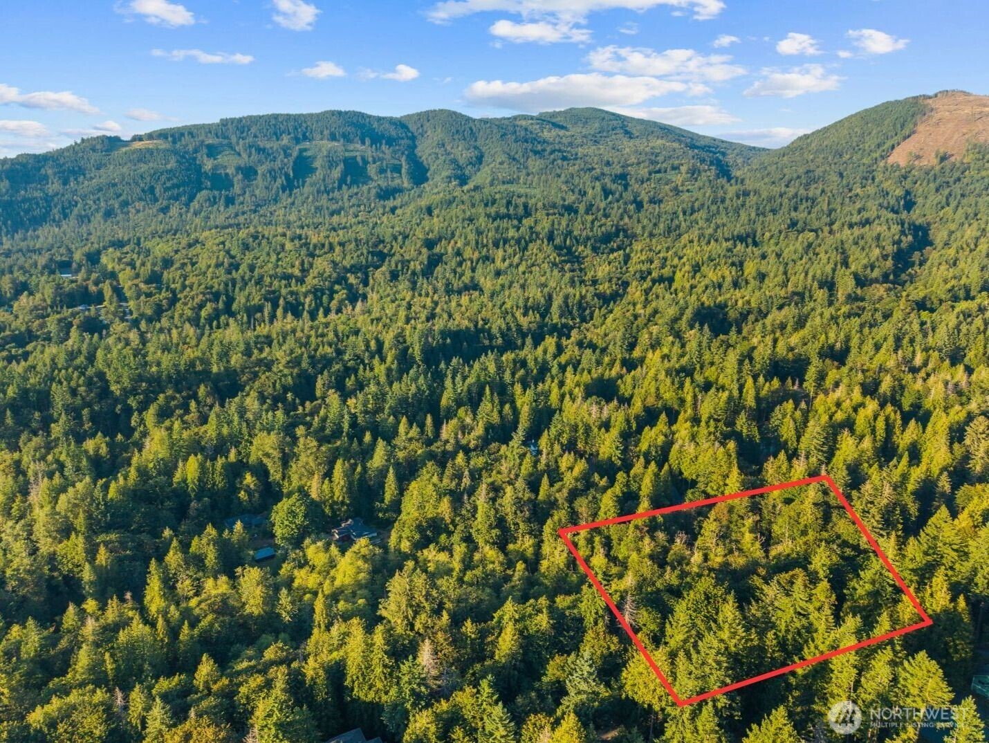 245 xx SE 146th Street