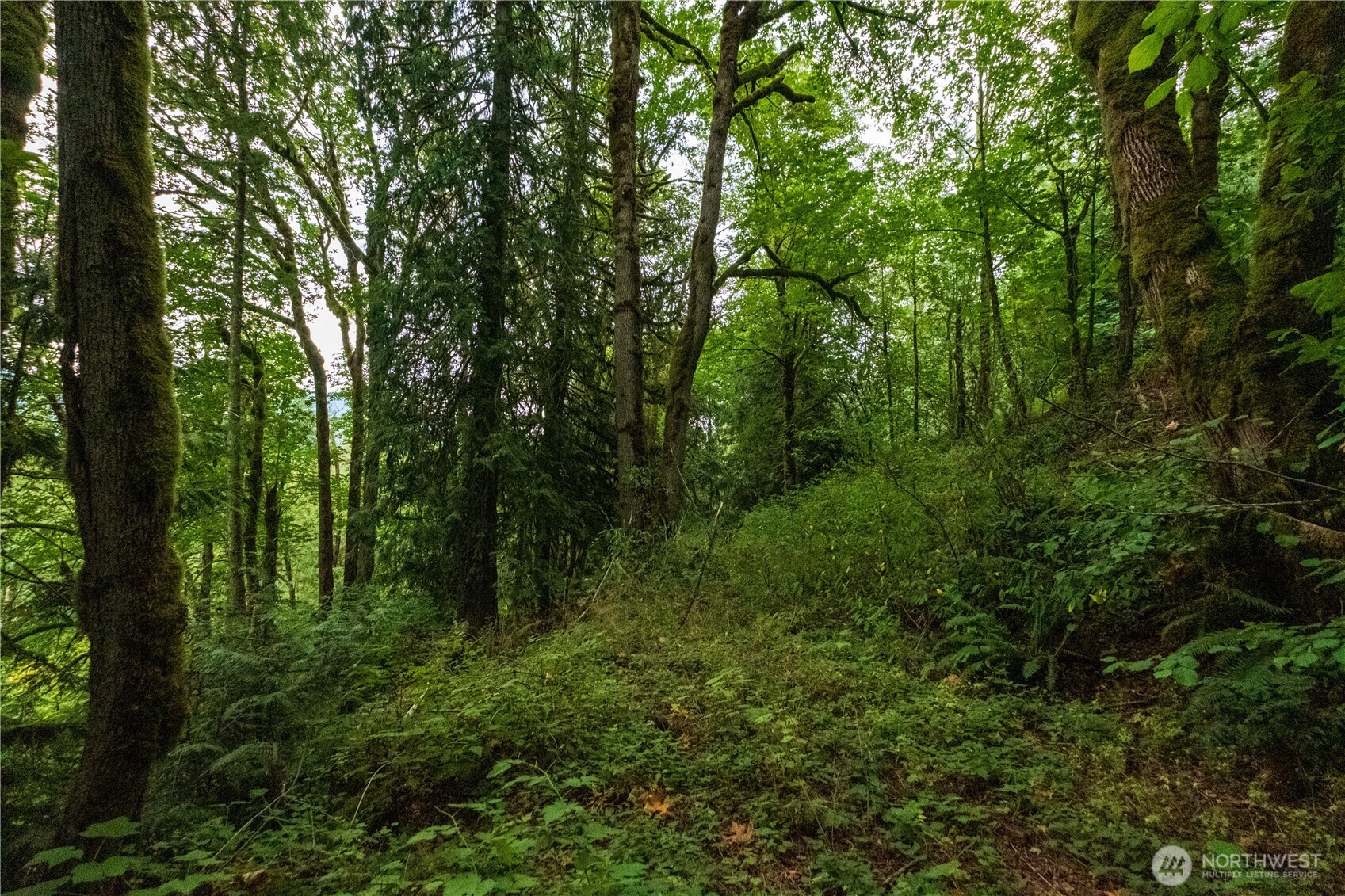 245 xx SE 146th Street