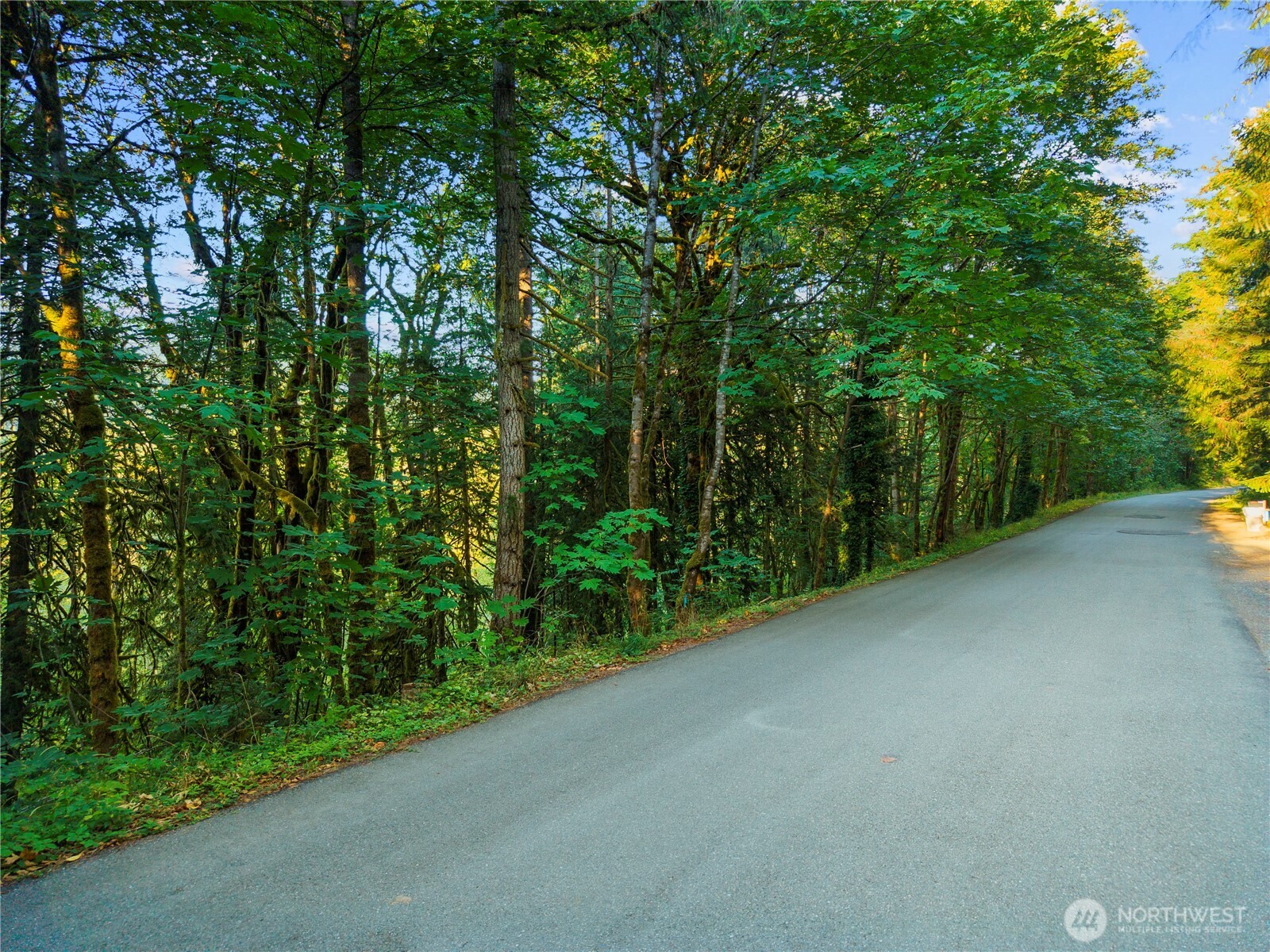 245 xx SE 146th Street