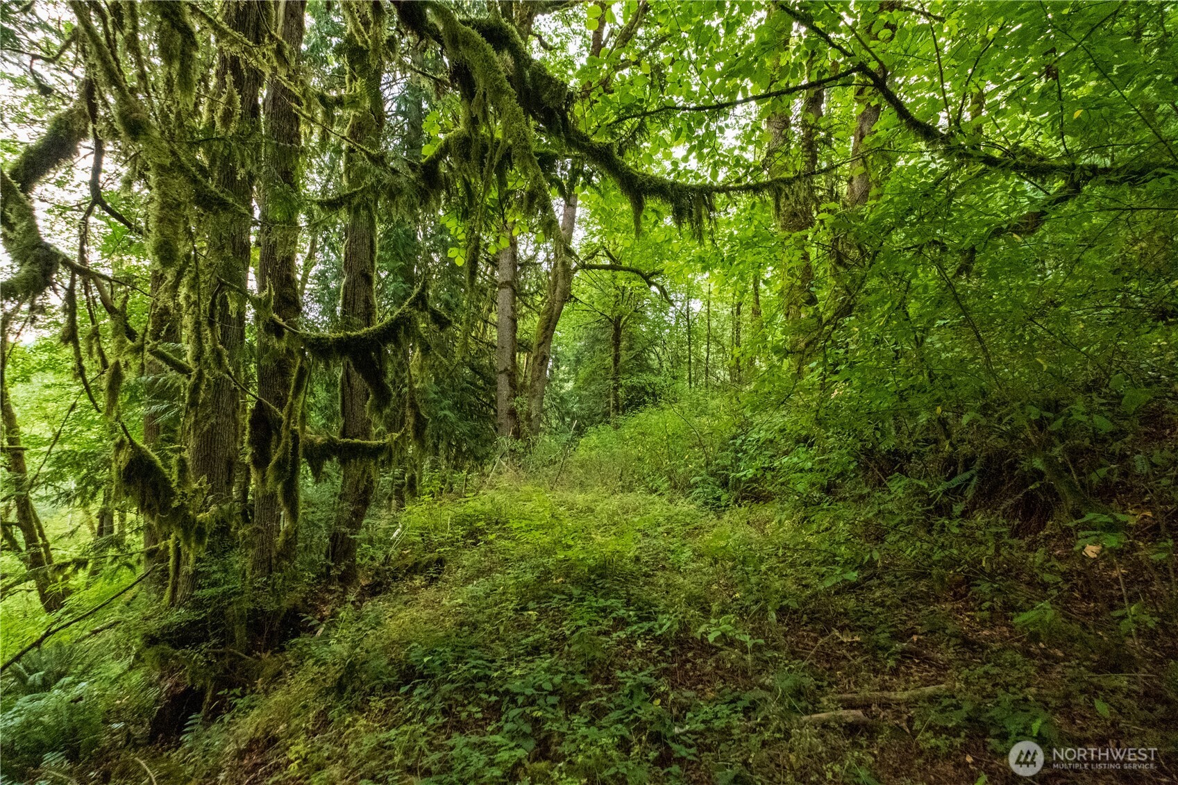 245 xx SE 146th Street