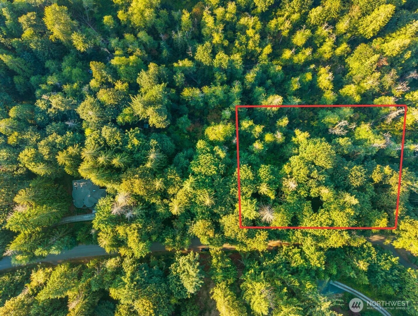 245 xx SE 146th Street