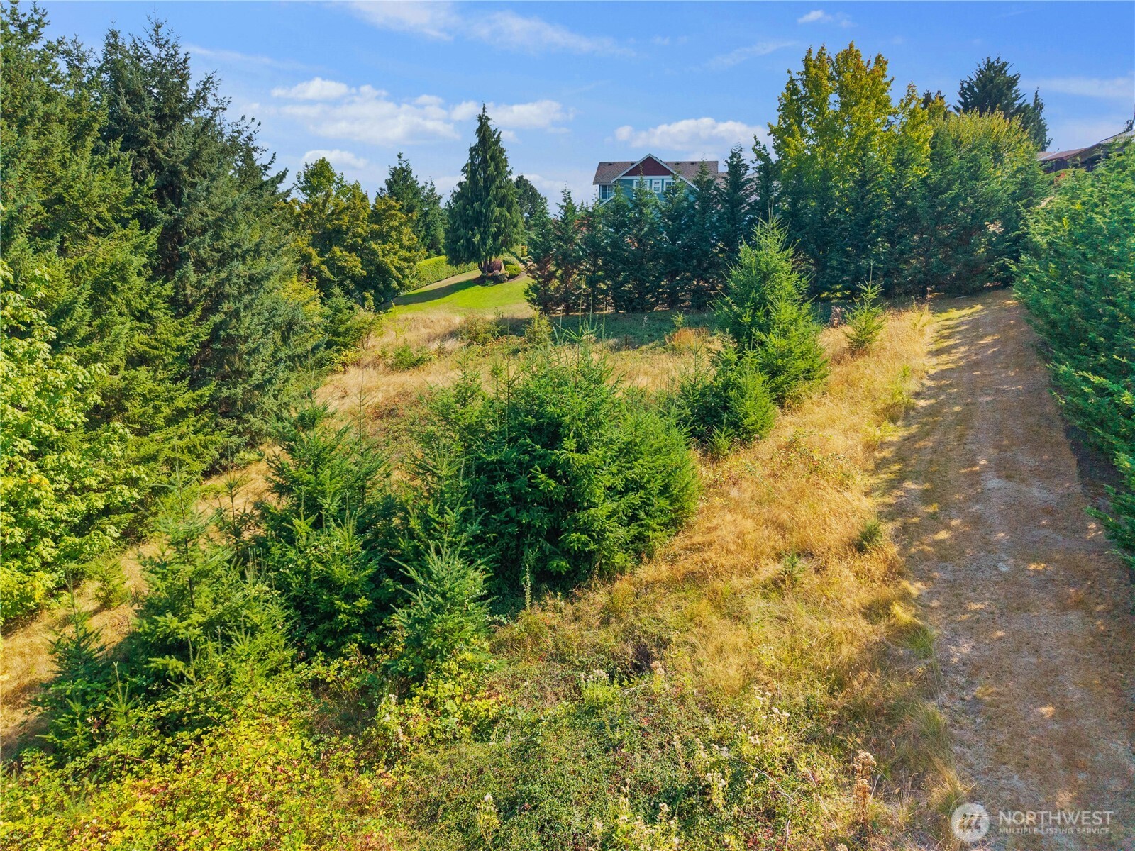 4812 131st Avenue Ct E