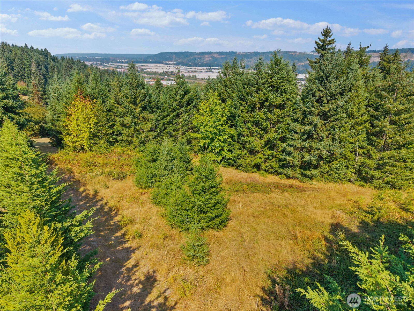 4812 131st Avenue Ct E