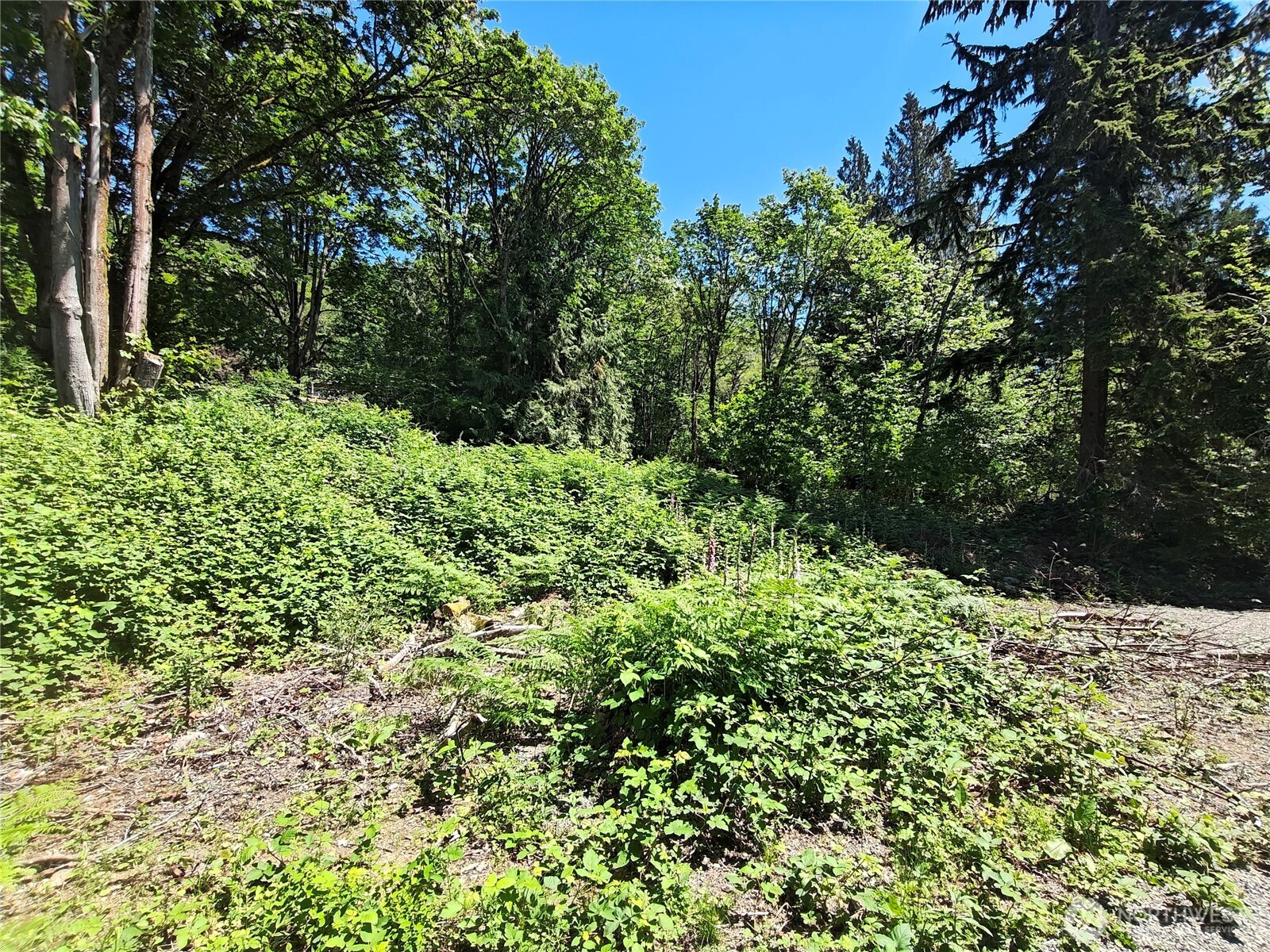 273 xx SE 164th Street