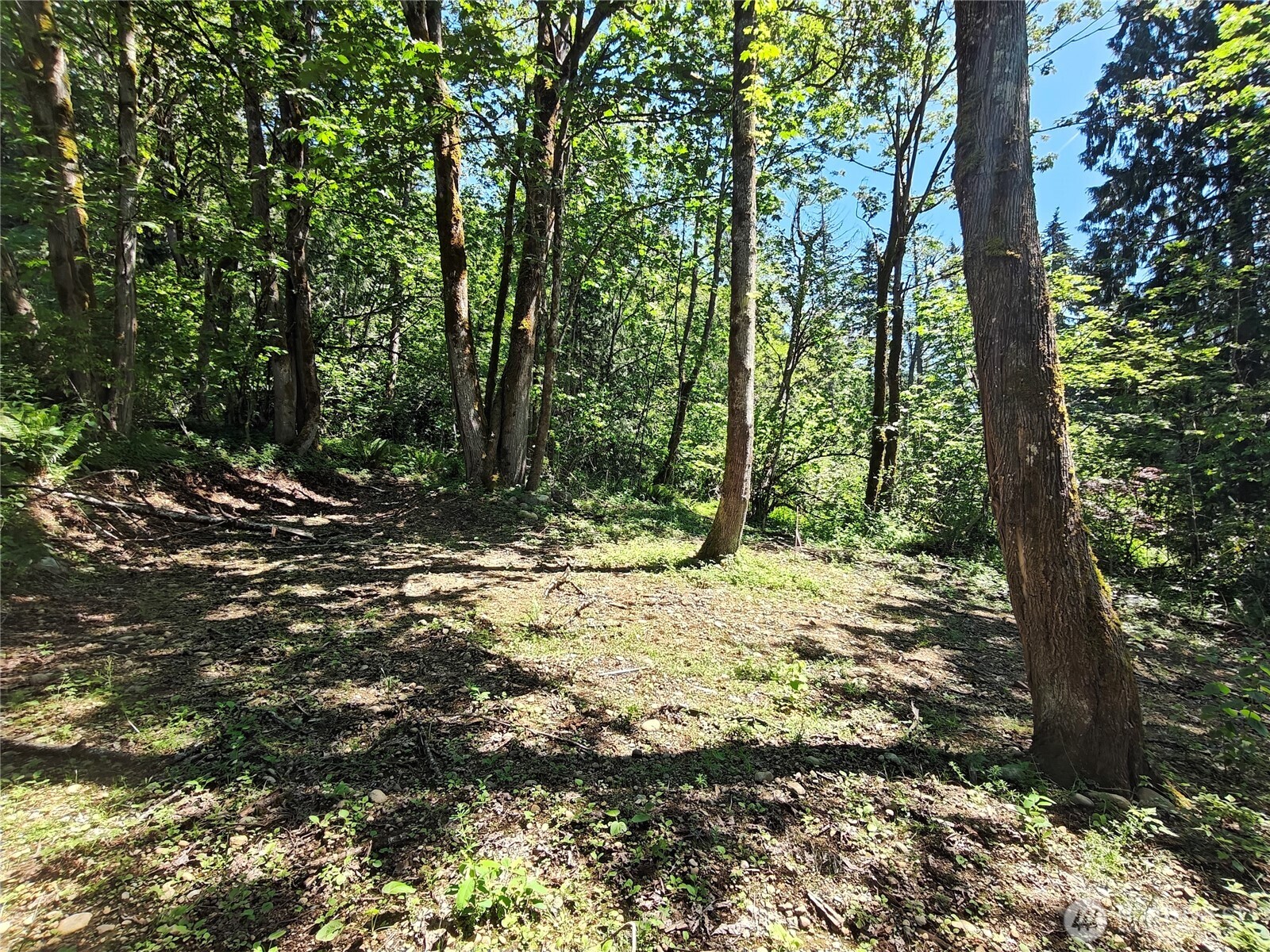 273 xx SE 164th Street