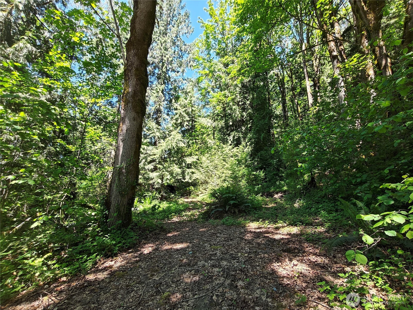 273 xx SE 164th Street