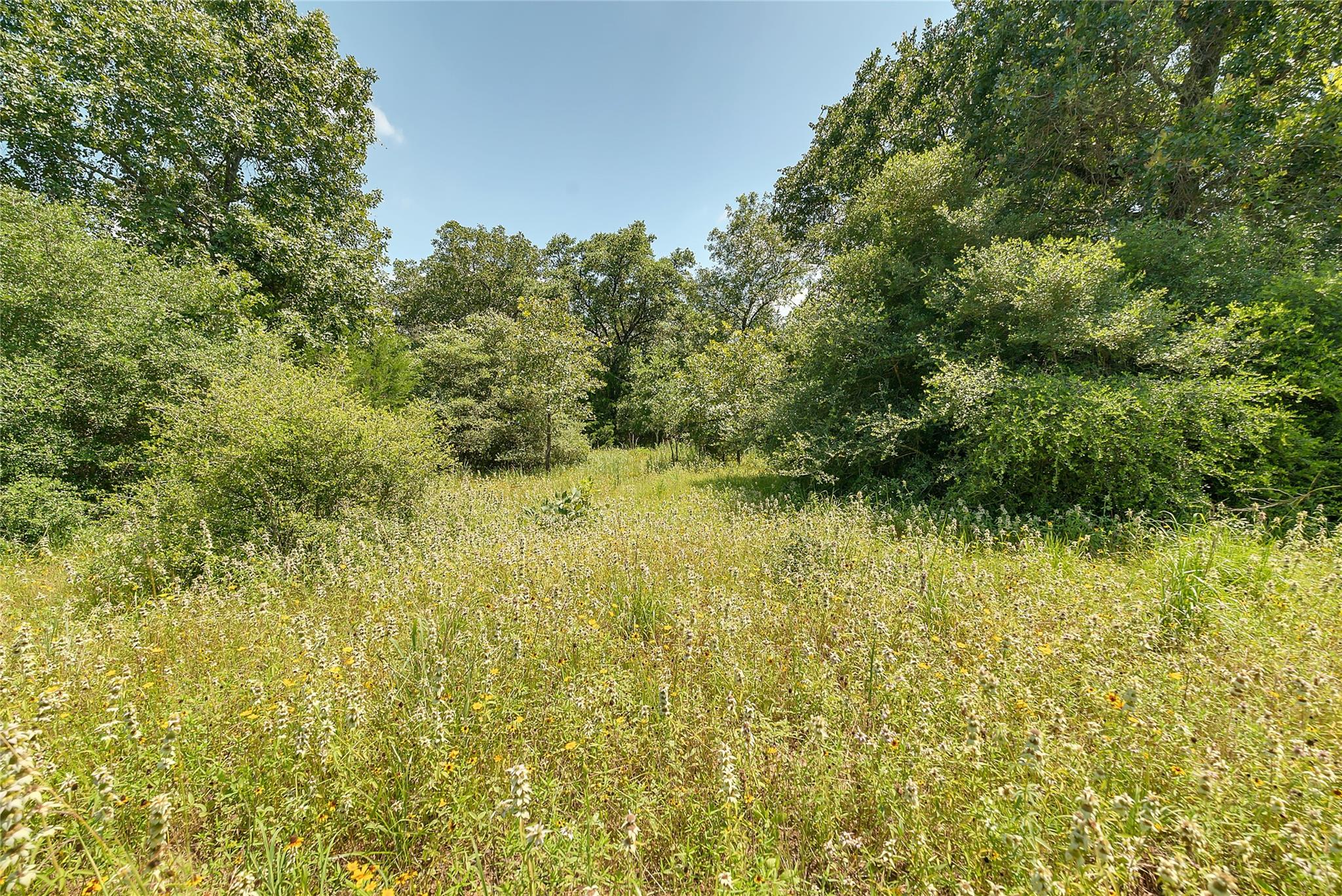 19231 County Road 215