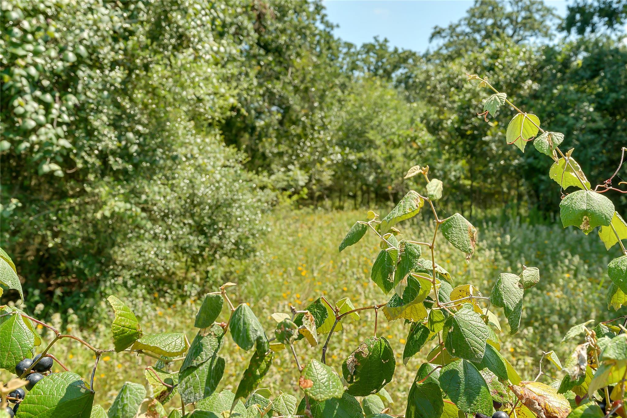 19231 County Road 215