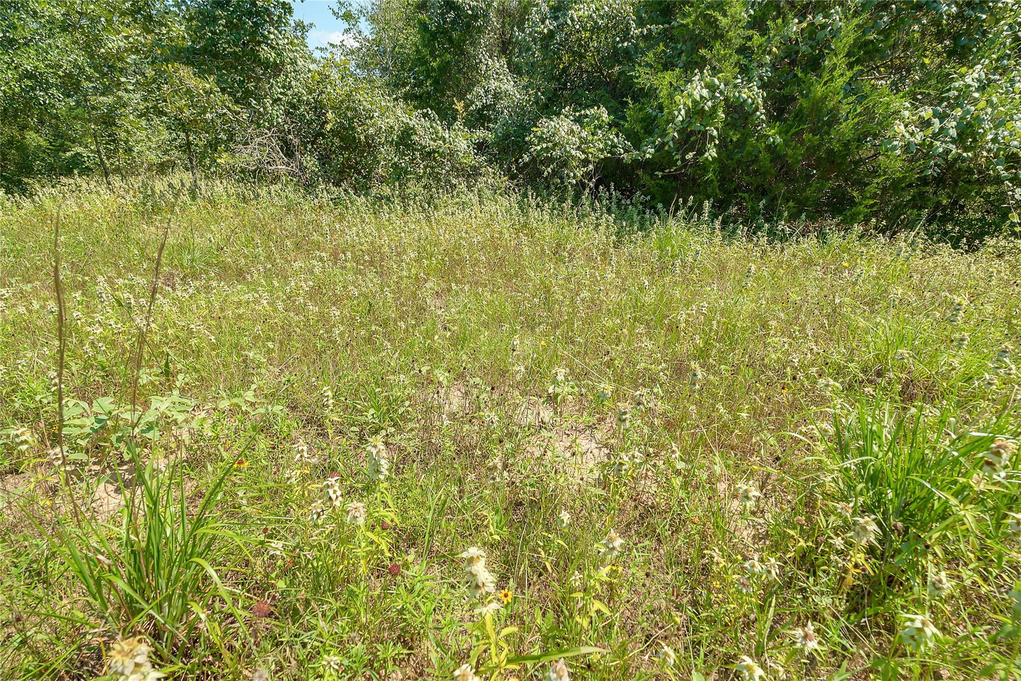 19231 County Road 215