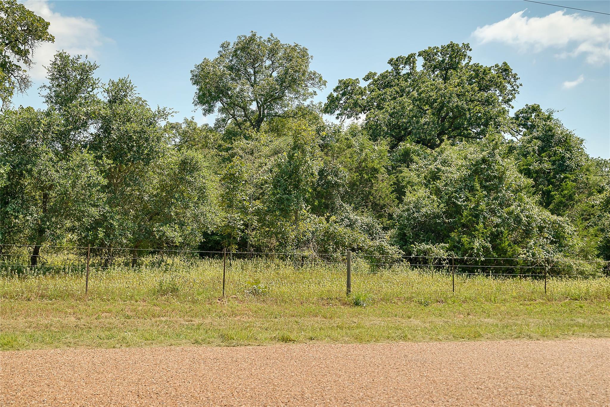 Parcel 19231 County Road 215