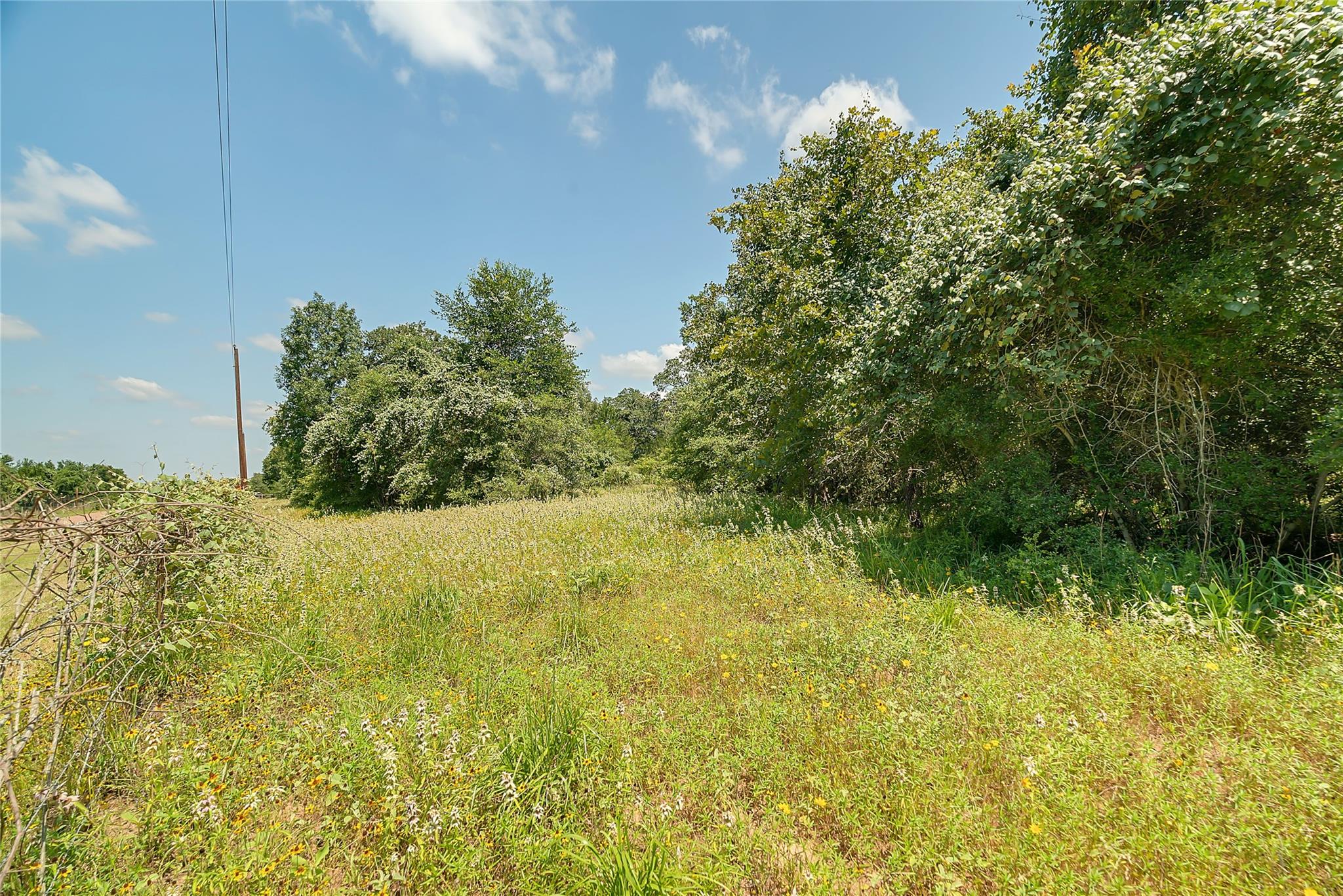 Parcel 19231 County Road 215