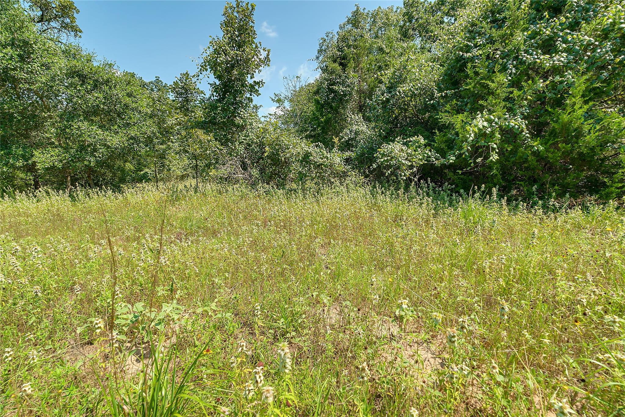 Parcel 19231 County Road 215