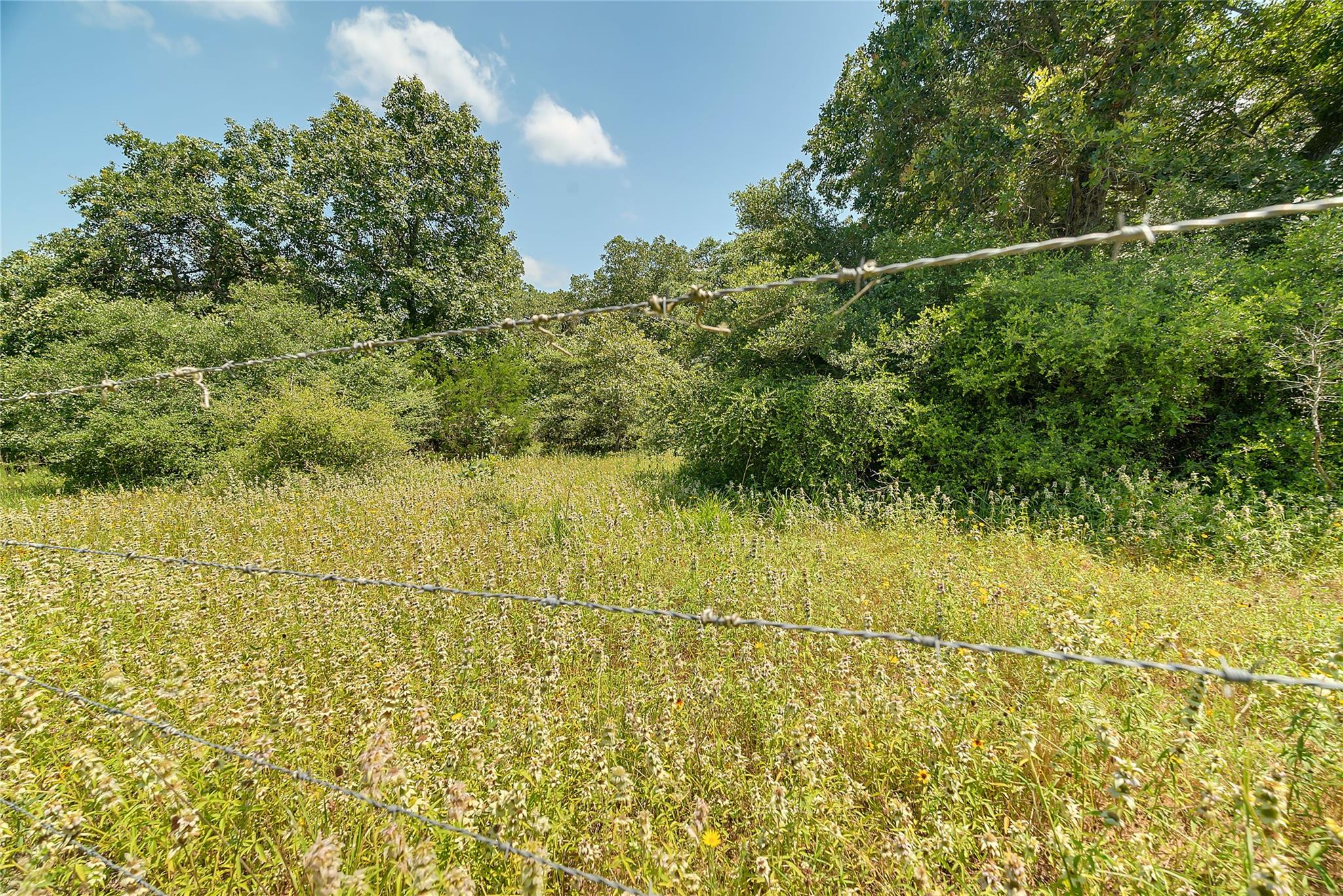 Parcel 19231 County Road 215