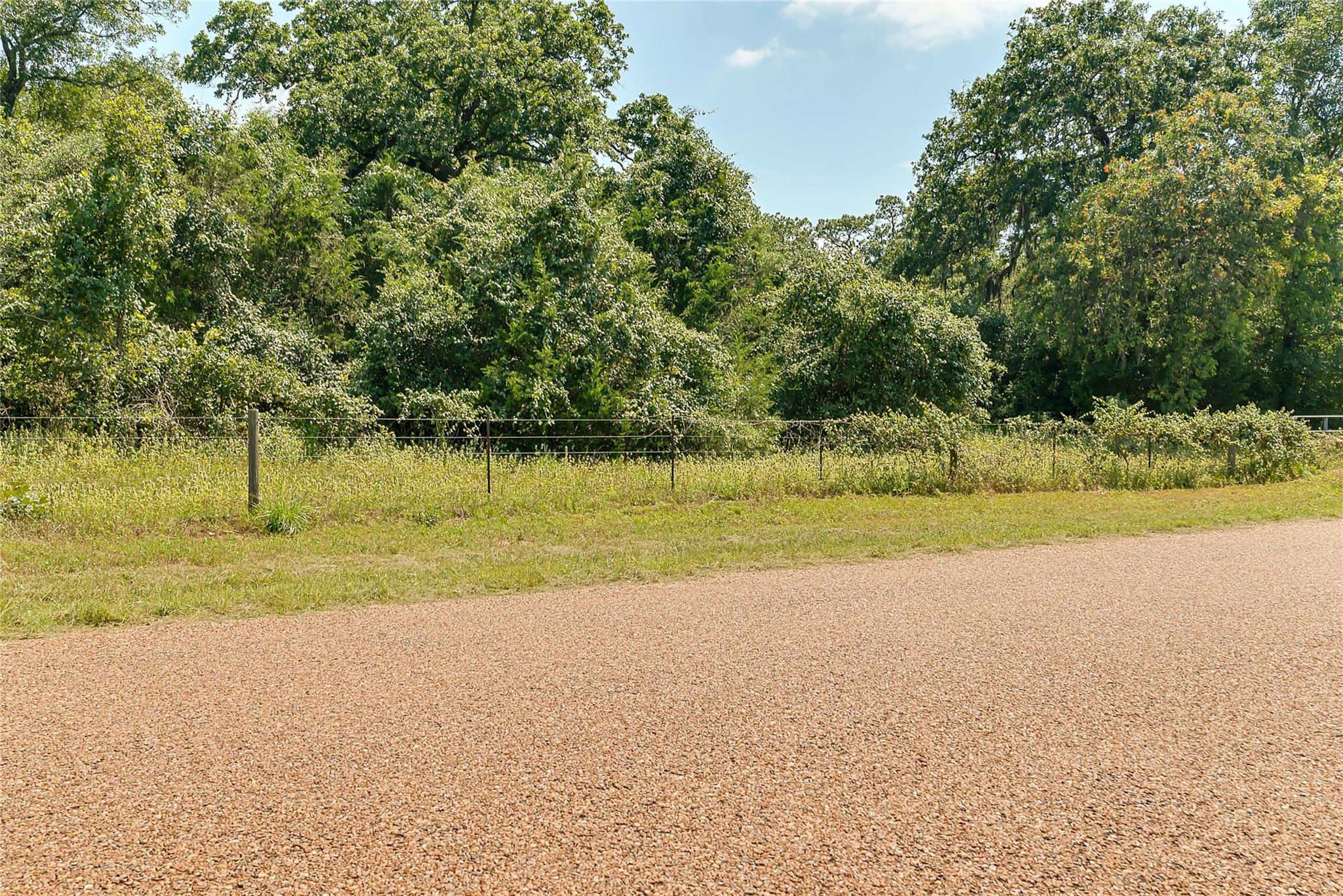 Parcel 19231 County Road 215
