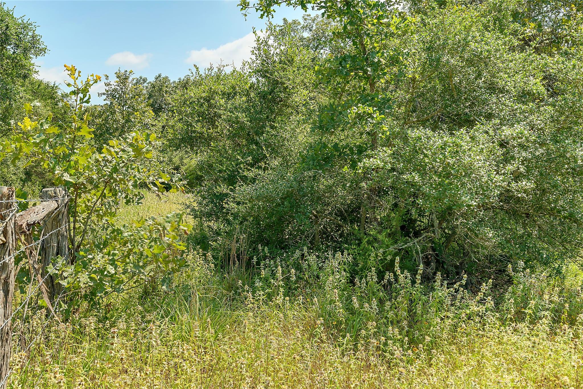 Parcel 19231 County Road 215