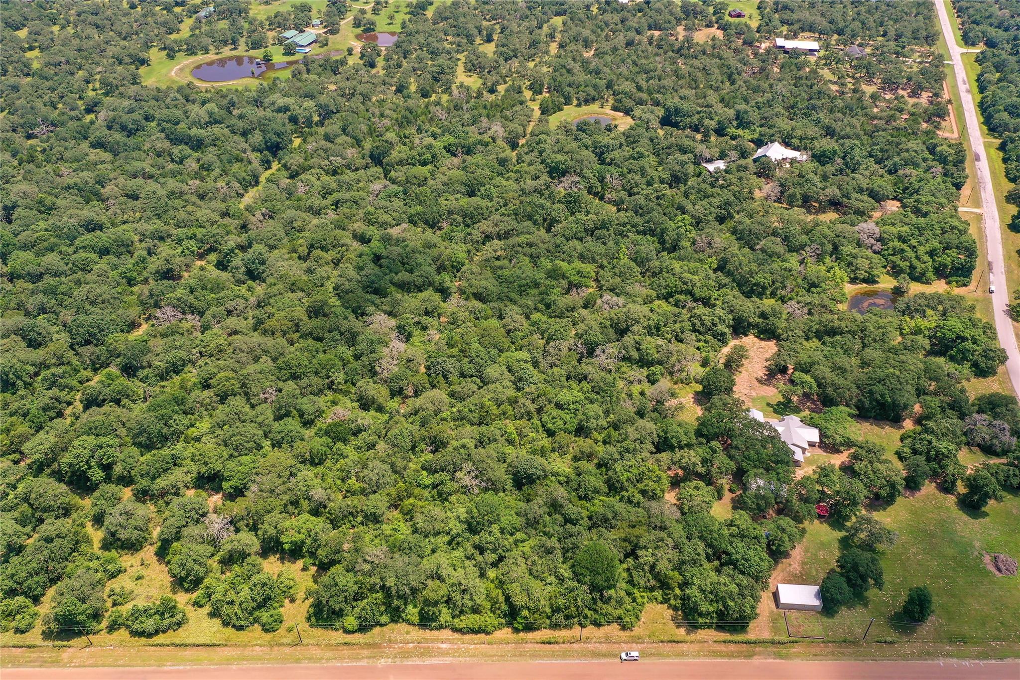 Parcel 19231 County Road 215
