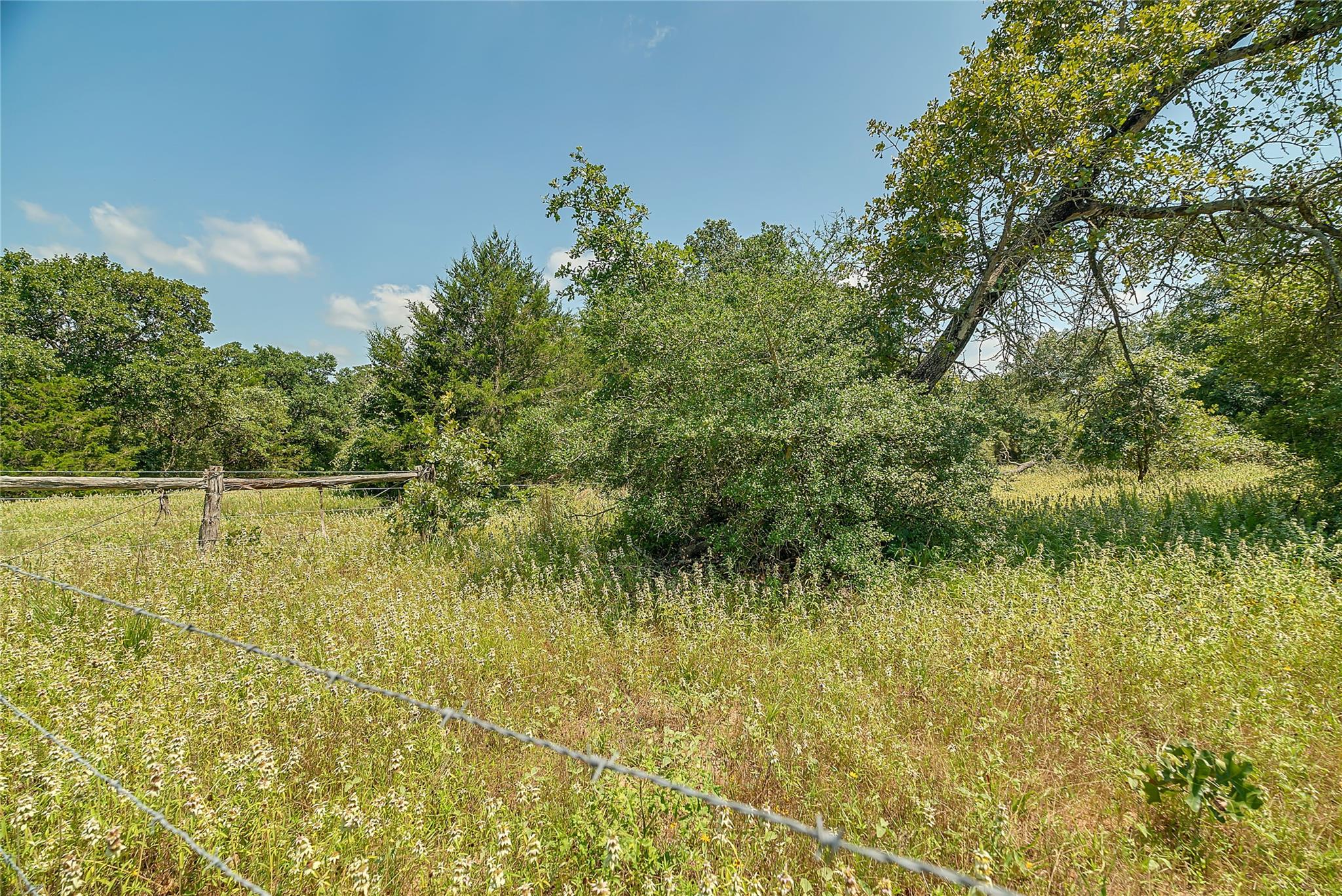 Parcel 19231 County Road 215