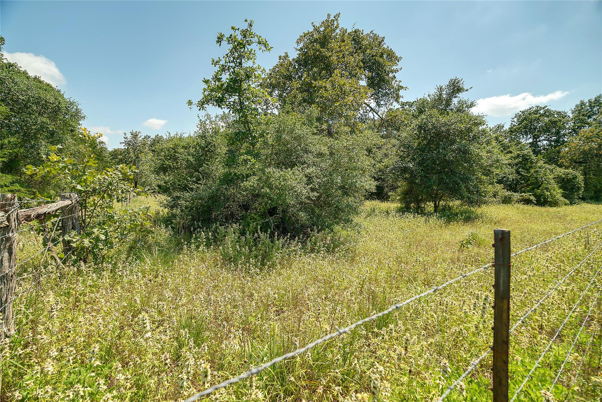Parcel 19231 County Road 215