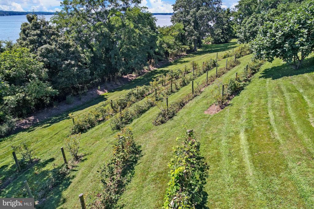 744 SKYWATER ROAD