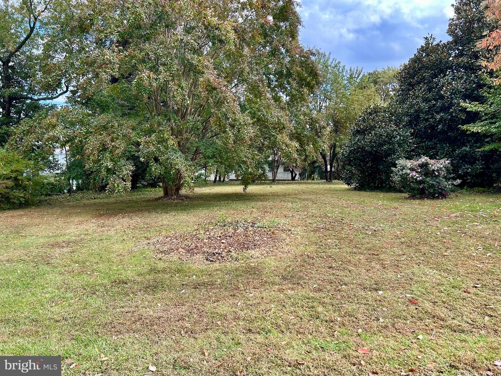 517 BROADWATER WAY