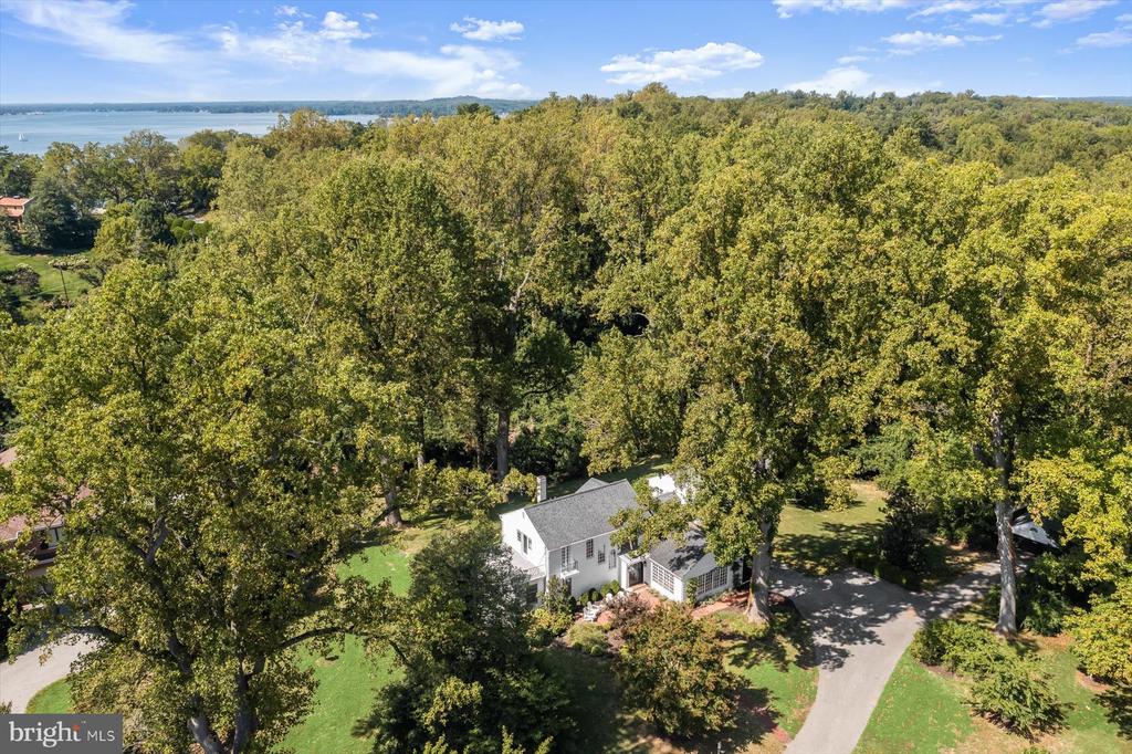 Aerial view of a white house among mature trees, with a curved driveway and water visible beyond.