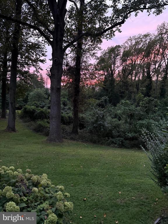 Landscaped yard with a broad lawn, mature trees, dense shrubs, and flowers beneath a pink dusk sky.