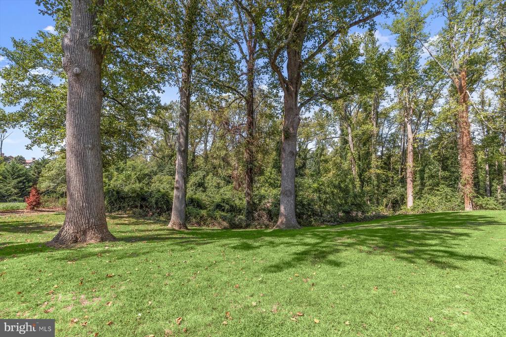 Lawn bordered by mature trees and dense woodland.