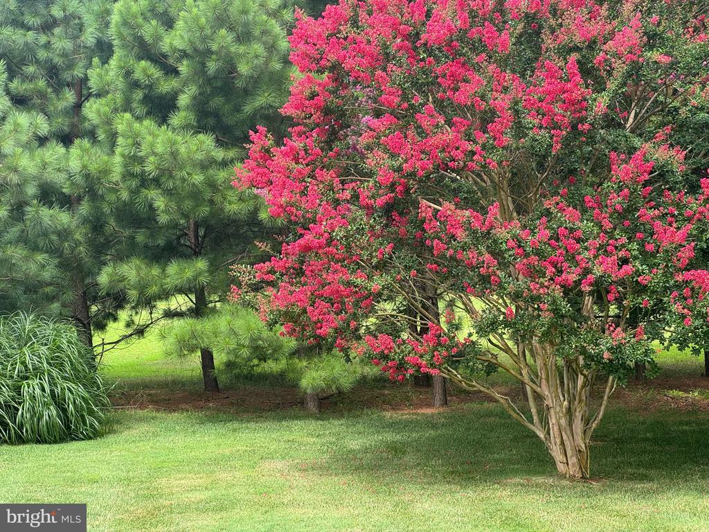 7909 CHURCH NECK