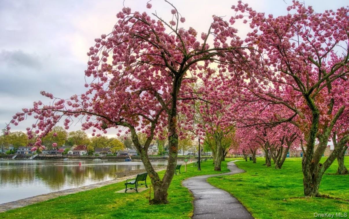 604 Tompkins Unit: 10-C