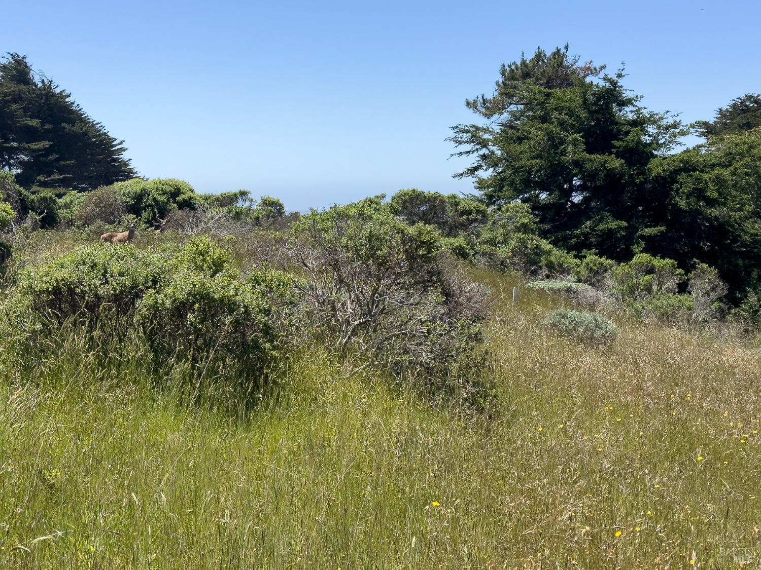 42320 Forecastle St #35E-2