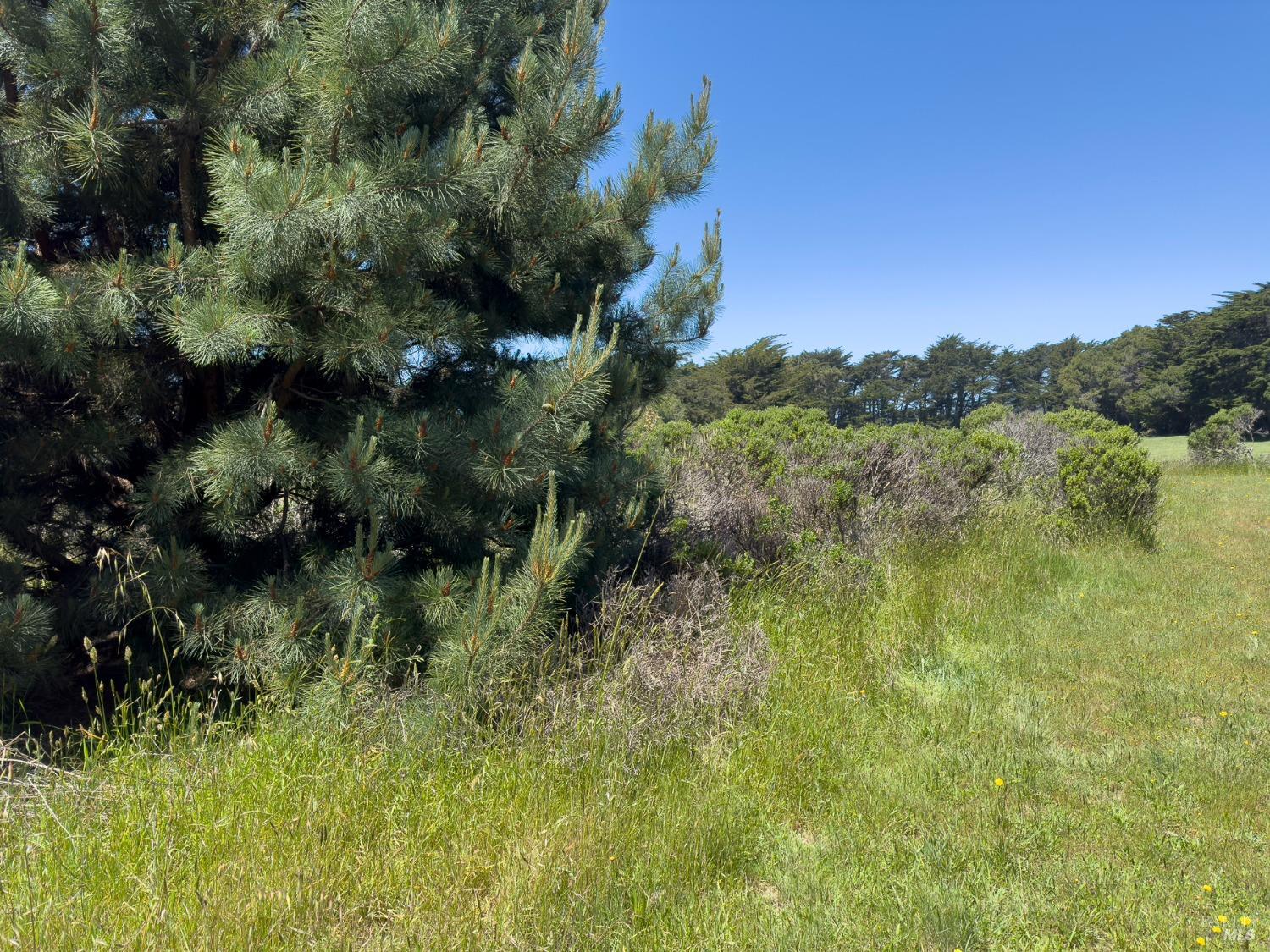 42320 Forecastle St #35E-2