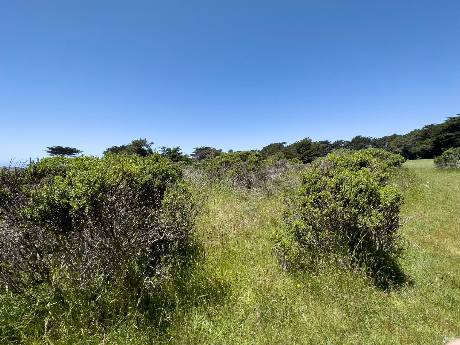 42320 Forecastle St #35E-2