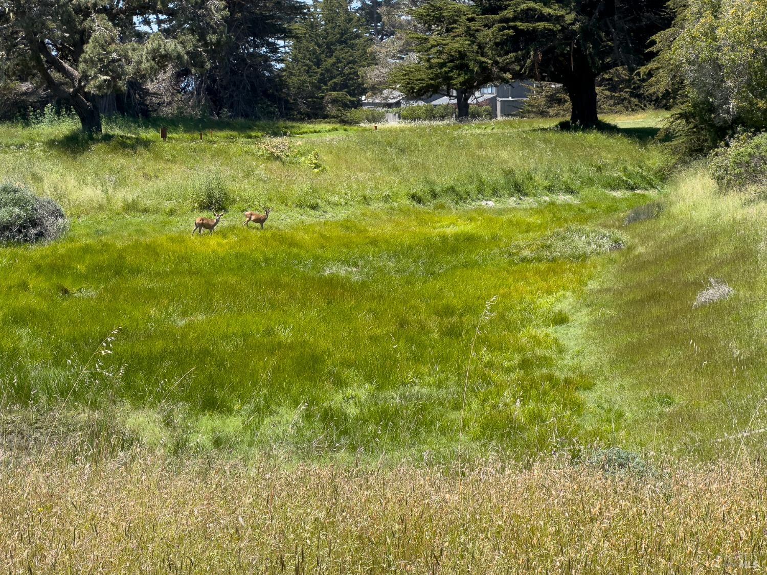 42320 Forecastle St #35E-2