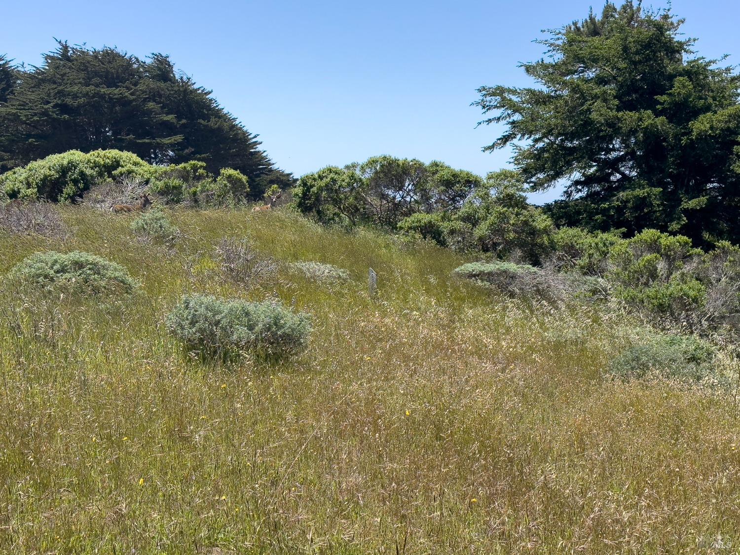 42320 Forecastle St #35E-2