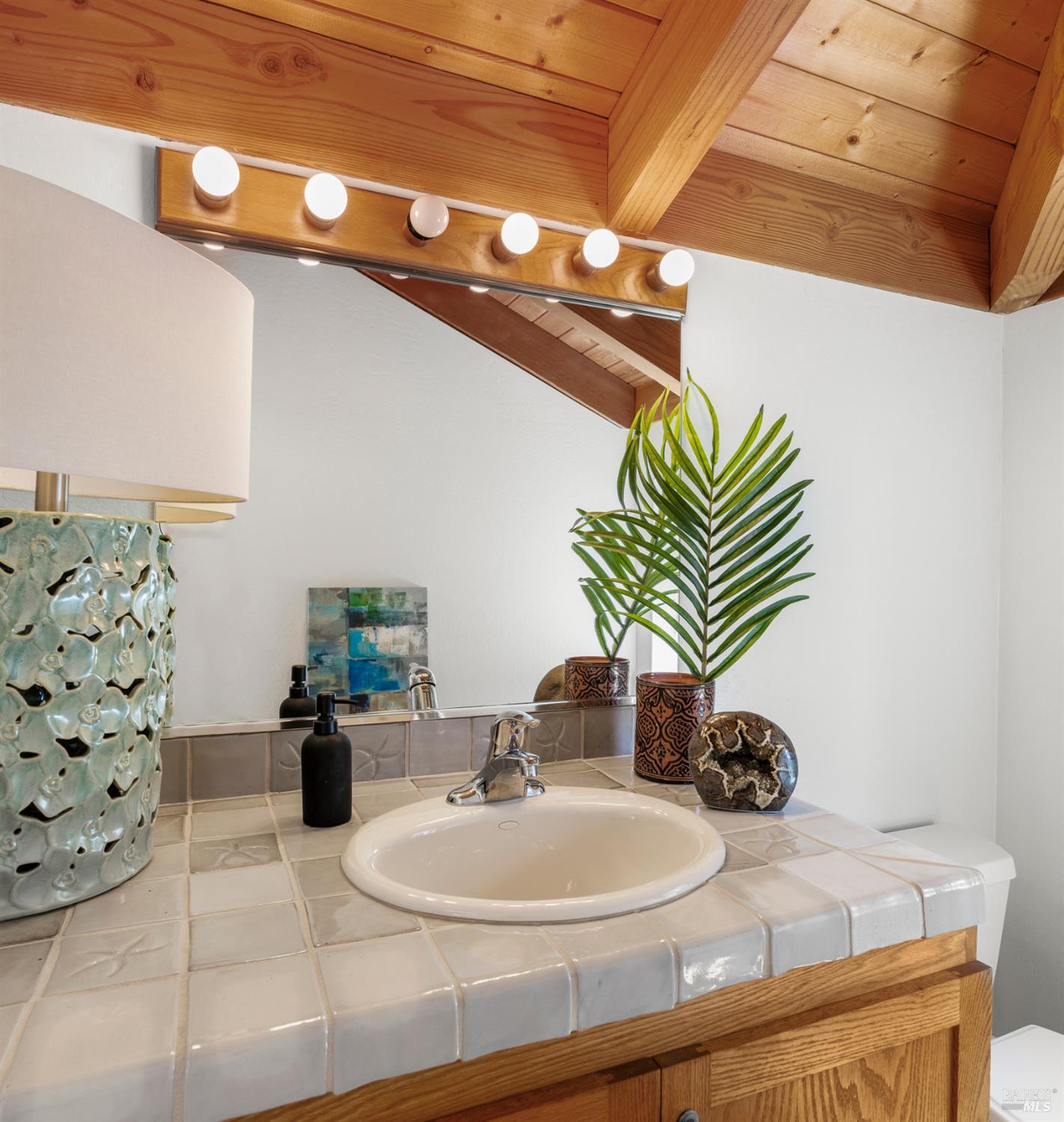 37190 Rams Horn Reach