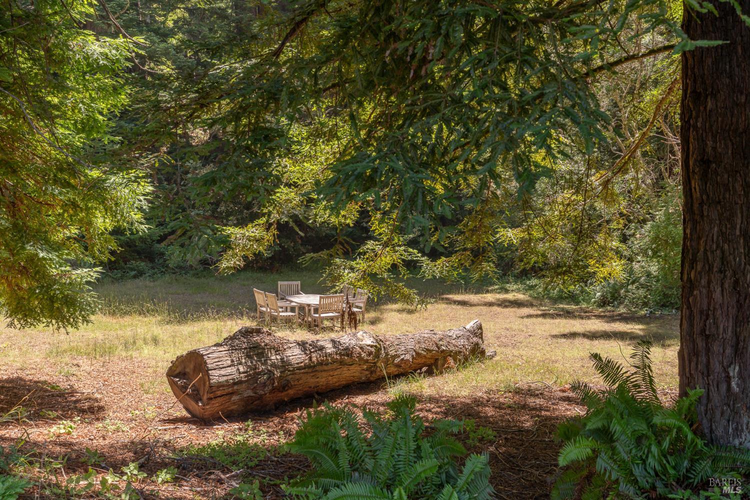 37190 Rams Horn Reach