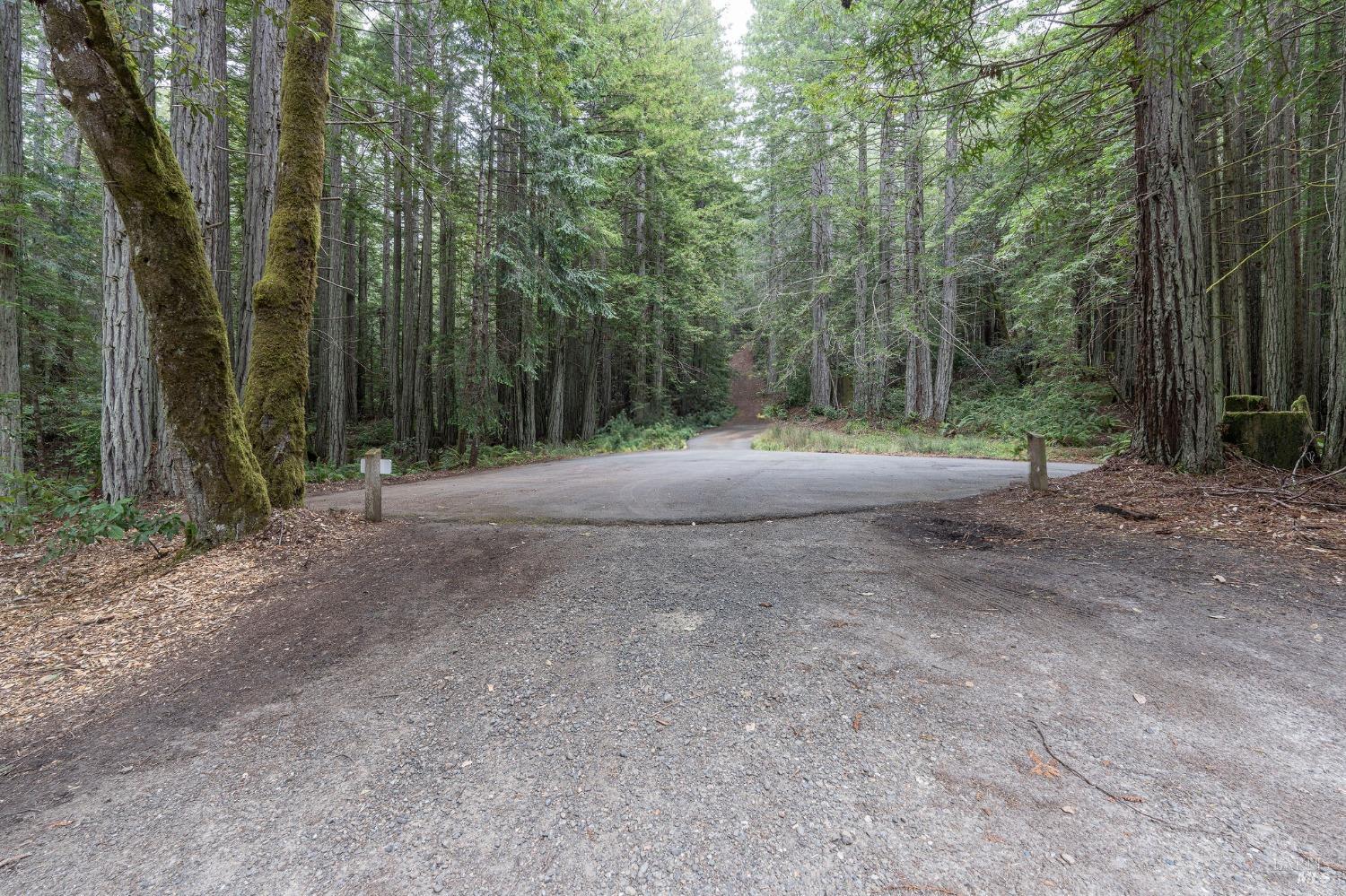 384 Madrone Mdw